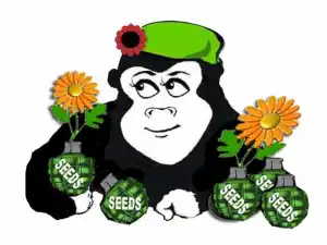 Guerilla Gardener Seed Bomb Recipe
